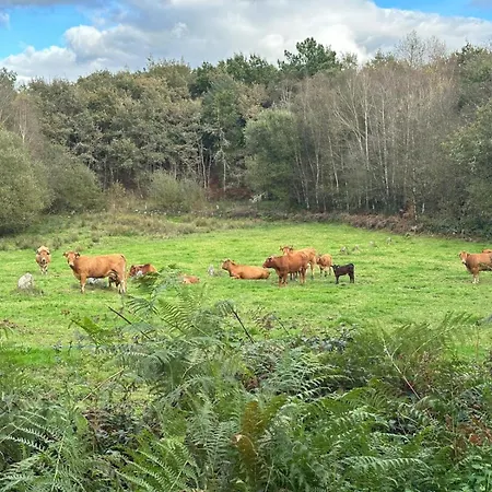 Familia Froufe Lägenhet Banos Del Molgas