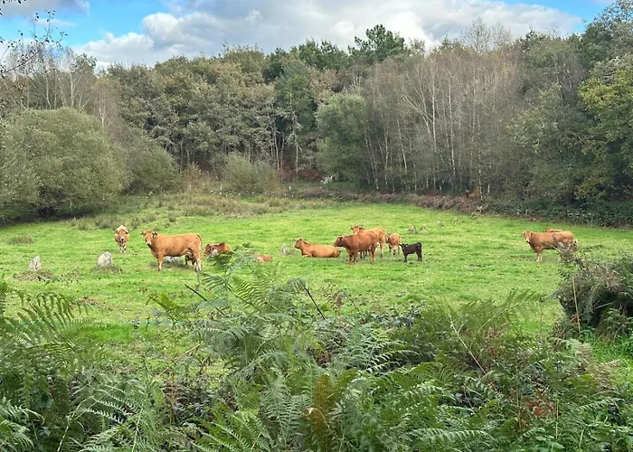 Familia Froufe Lägenhet Banos Del Molgas